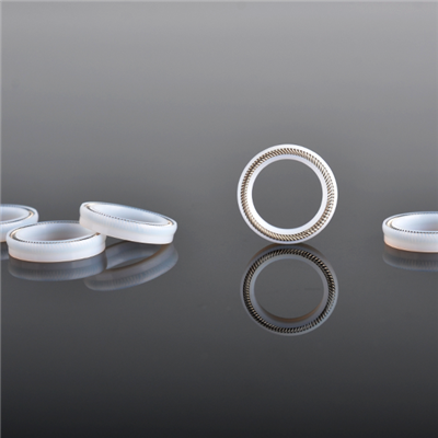 אטמים בעלי אנרגיות קפיצים לשסתומי פרפר