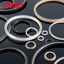 PTFE עם סיבי פחמן באביב חותם Energized